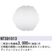 NTS91013