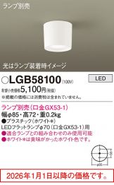 LGB58100