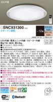 SNCX51300
