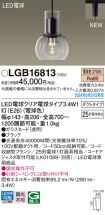 LGB16813