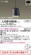 LGB10828