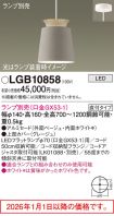 LGB10858