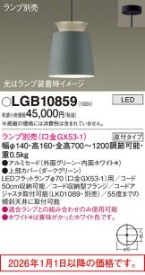 LGB10859