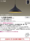 LGB15493