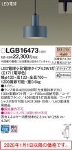 LGB16473
