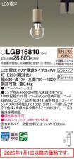 LGB16810