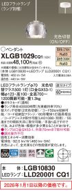 XLGB1029CQ1