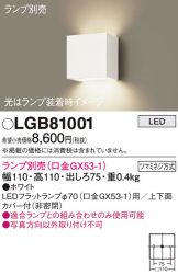 LGB81001