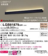 LGB81879LB1