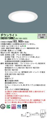 XND9979WWZLR9