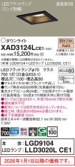 XAD3124LCE1